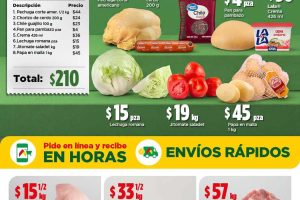 Bodega Aurrera Tianguis de frutas y verduras al 17 de septiembre 2026
